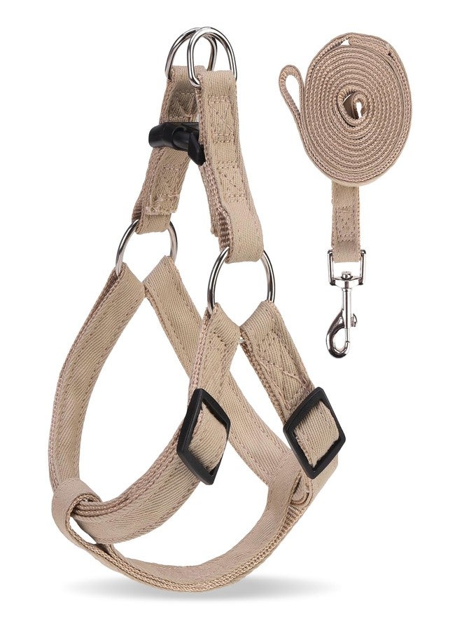 BINGPET Dog Harness Leash Set,Adjustable No Pull Step in Dog Harness,Stylish Denim Puppy Harness for Small and Medium Dogs Easy Walk Training Running(Khaki,S)